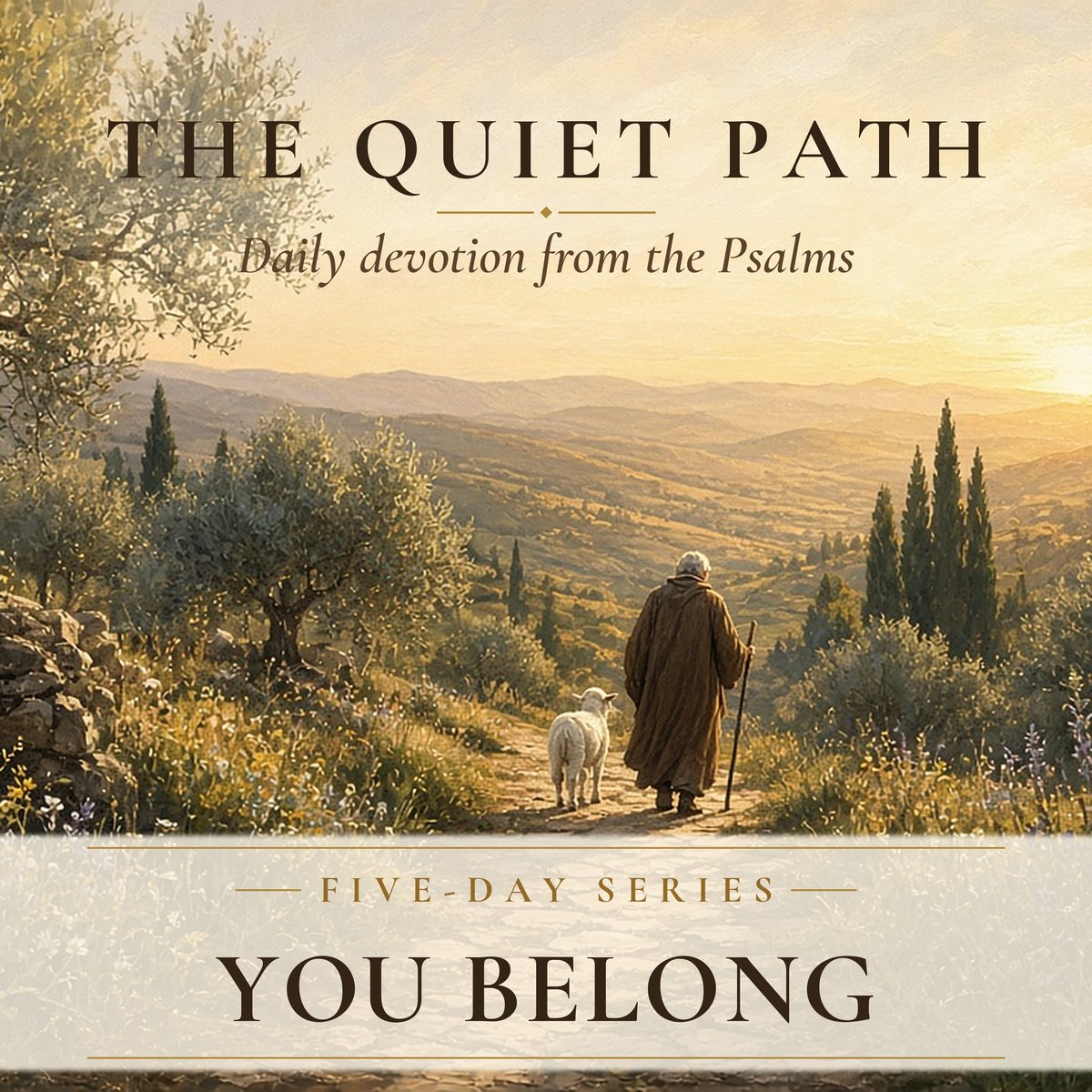 You Belong series